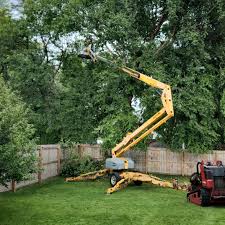 How Our Tree Care Process Works  in Owensville, IN